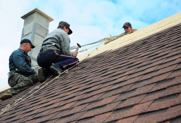 Best Roof Gutter Cleaning  in Meadowlakes, TX